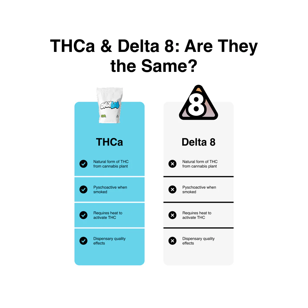 Only Gas - THCa Flower - Image 4