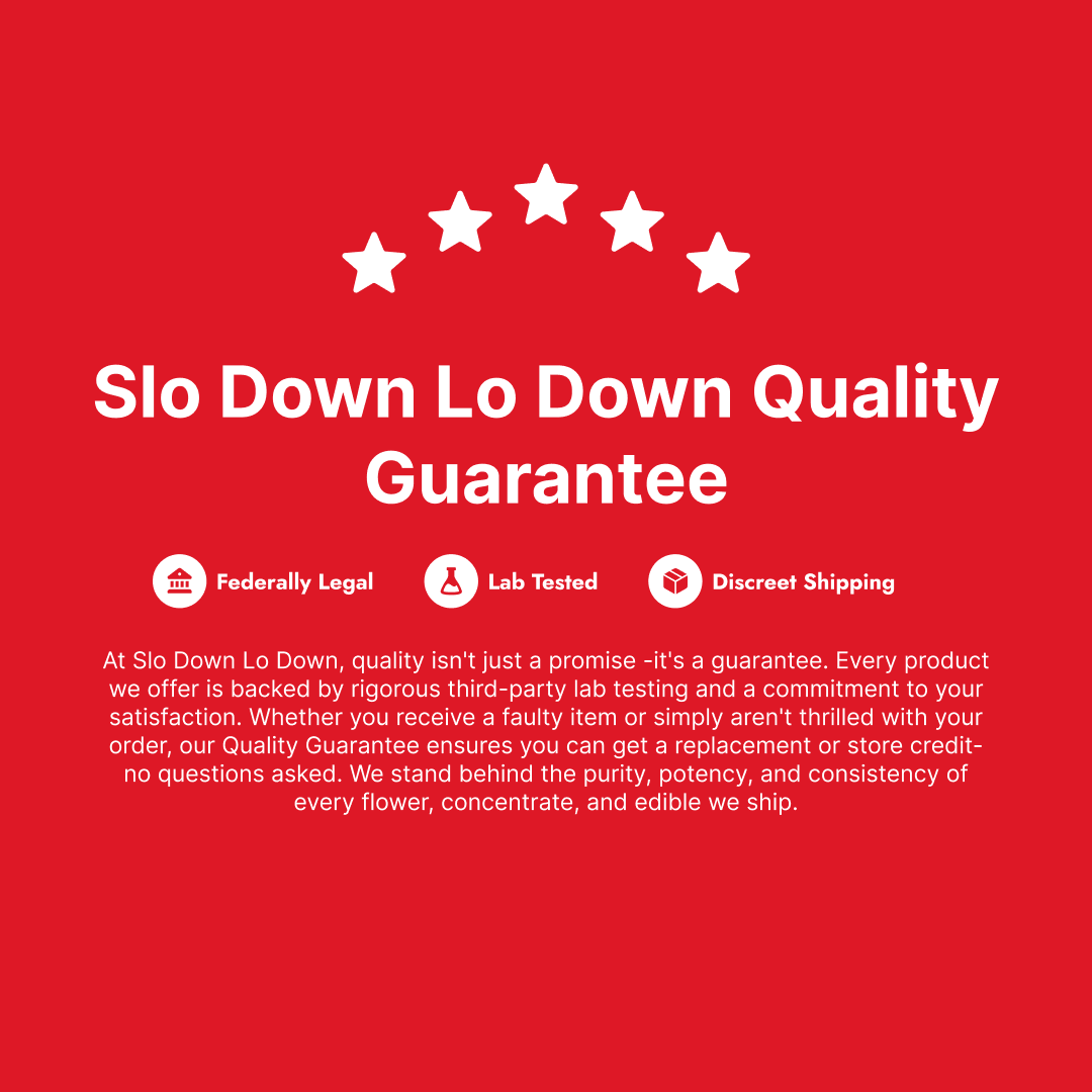 SloDown LoDown Watermelon THC Syrup - Image 6