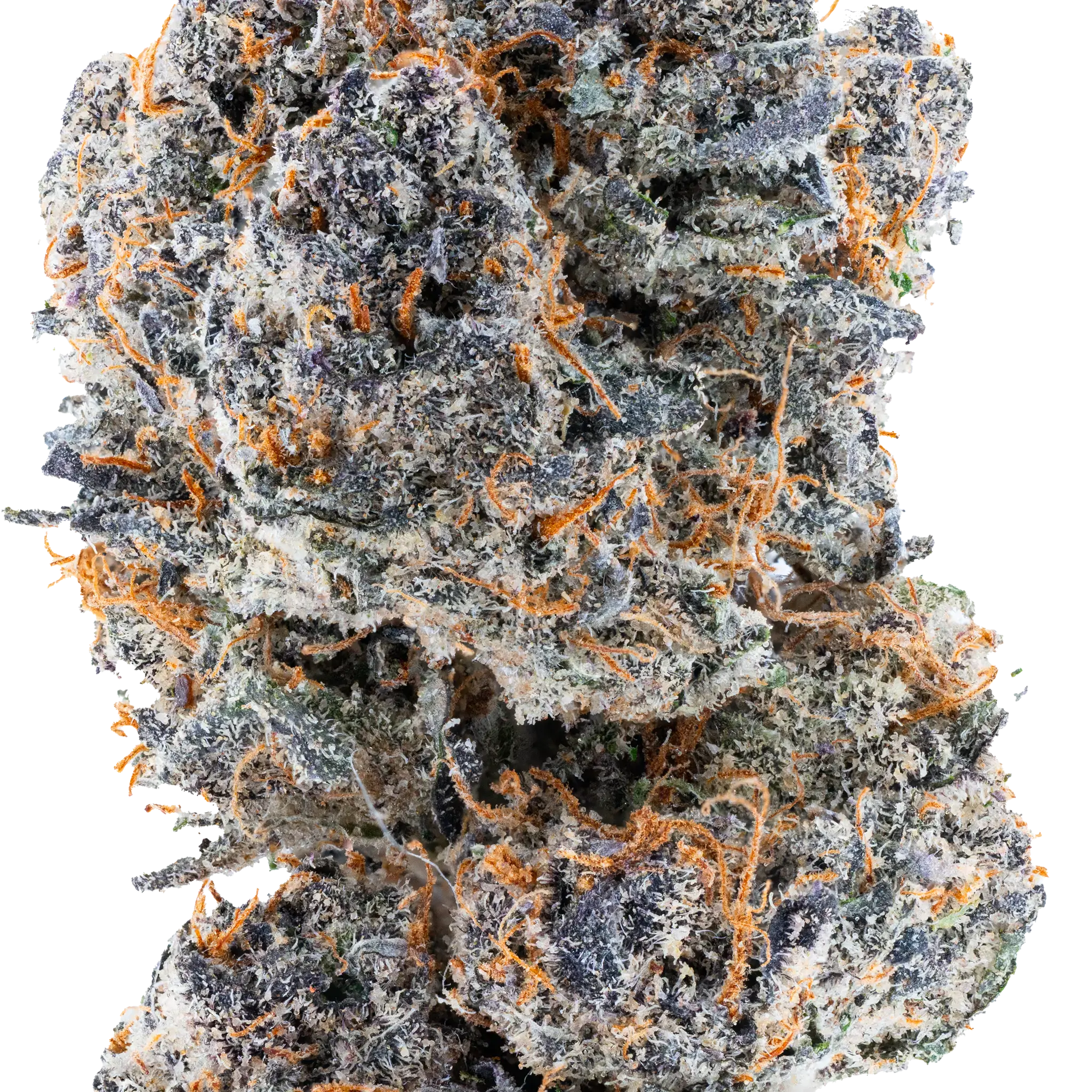 Space Junky – THCa Flower - Image 2